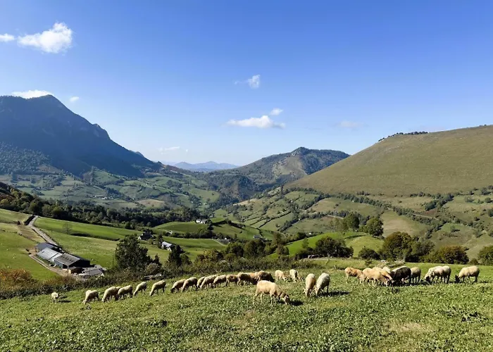 Gliget * Lourdios-Ichère